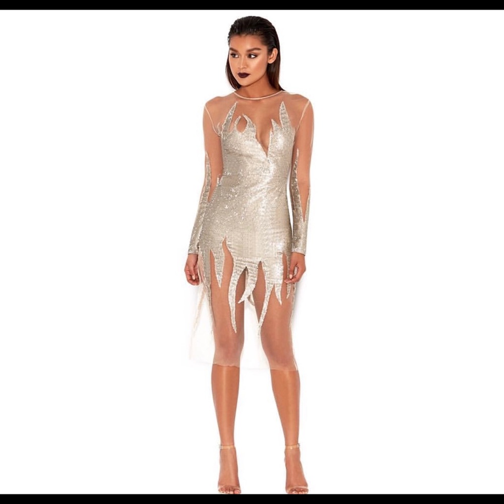 Silver Sequined Flamed Dress